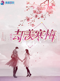 网游小说小说却羡寒梅