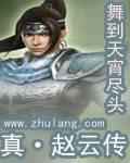 真赵云传