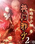 将门小说将门邪少2